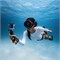 DJI Osmo Action 6 Waterproof Case, оригинал act630