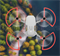 Защита пропеллеров Lite красная для DJI Mini 1, 2, SE mini055