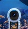 Insta360 X4 Invisible Dive Case x4026 - фото 9704 Insta360 X4 Invisible Dive Case x4026 - фото 9704